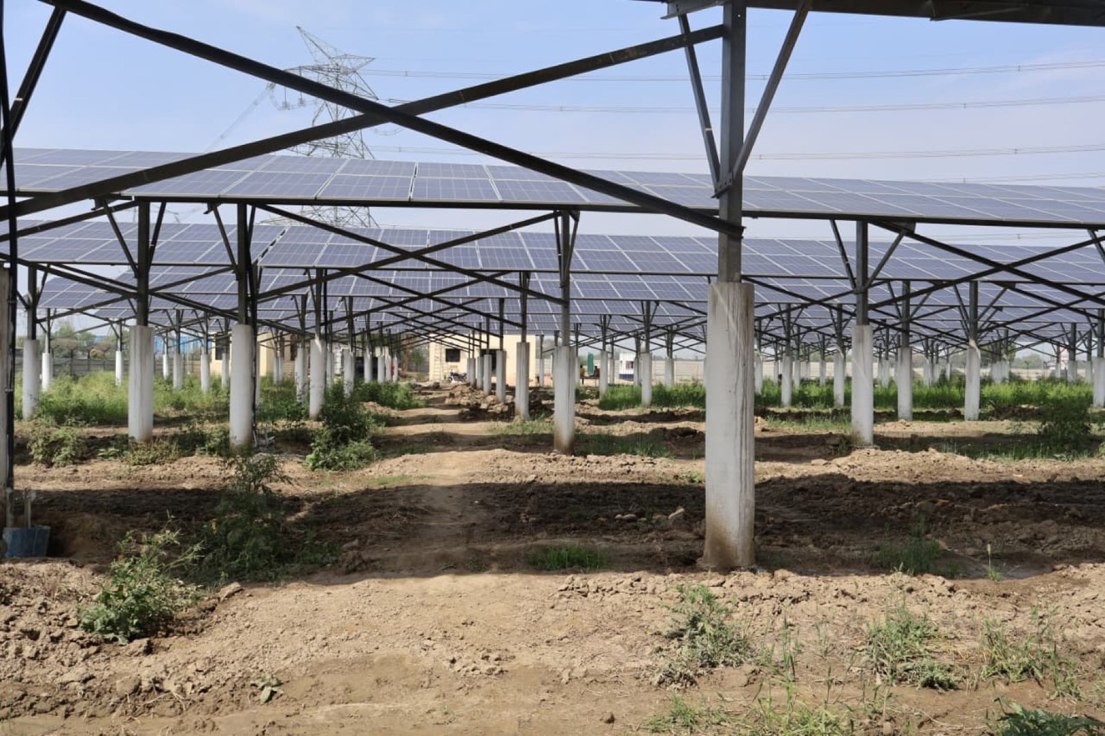 Agriculture & Agrivoltaic